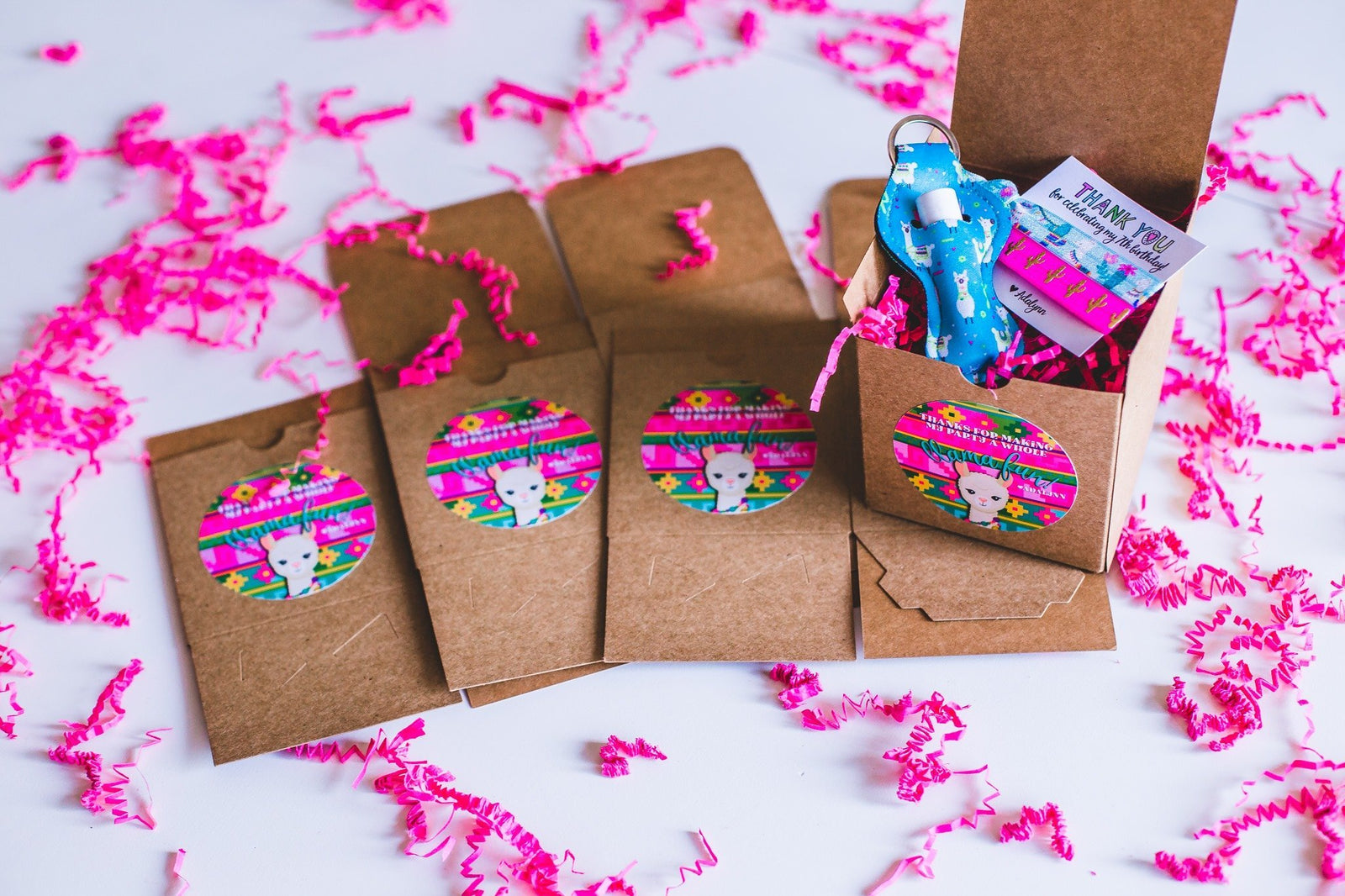 Llama Birthday Party Ideas for Kids | Daisy Lane Company